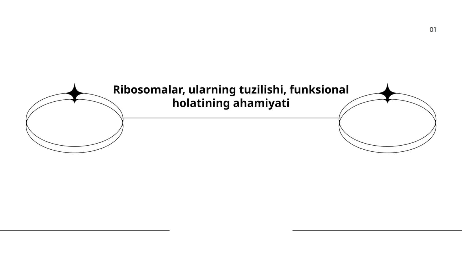 Ribosomalarning tuzilishi va funksiyalari