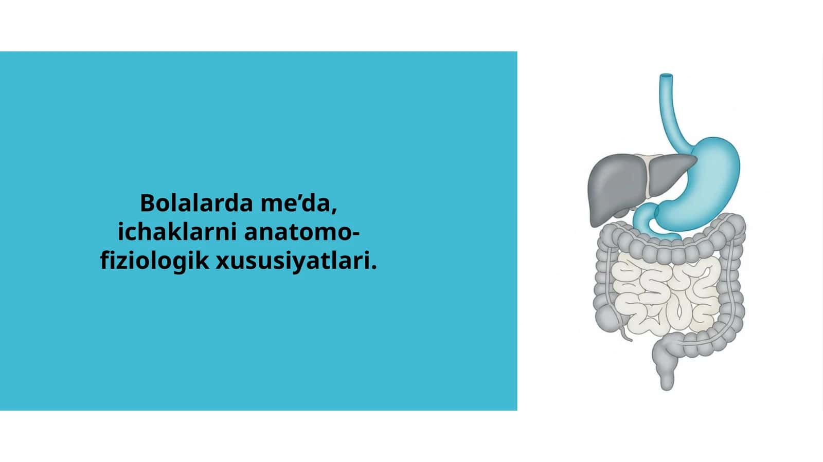 Bolalarda me’da va ichaklarning anatomo-fiziologik xususiyatlari | Pediatriya uchun taqdimot