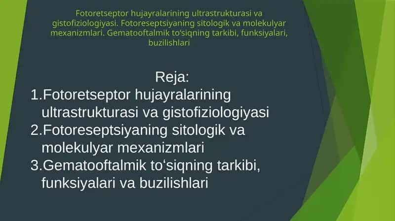 Fotoretseptor hujayralarining ultrastrukturasi va gistofiziologiyasi
