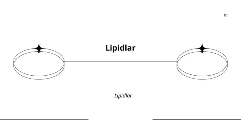 Lipidlar