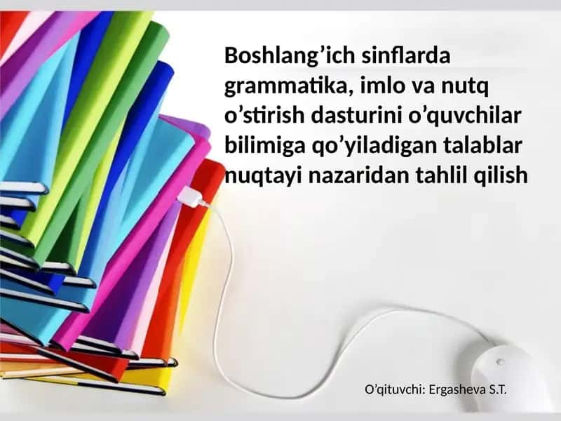 Davlat ta'lim standarti va dasturlari. Ona tillari