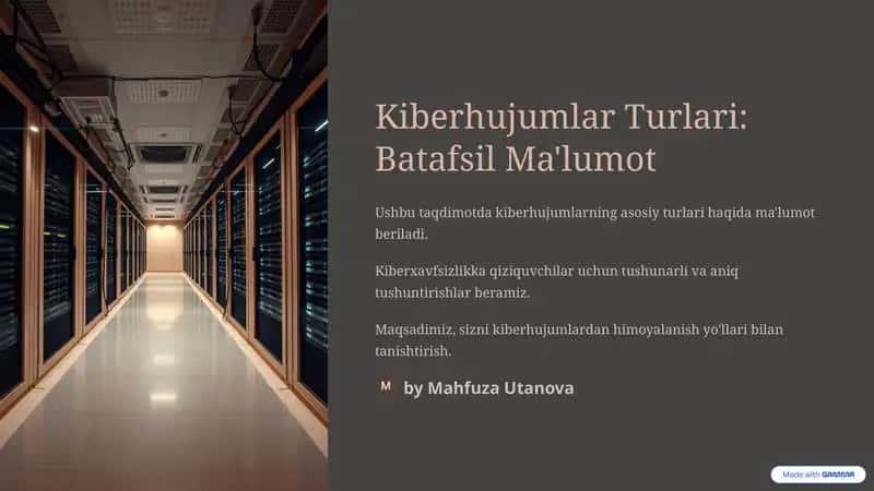 Kiberhujumlar Turlari: Batafsil Ma'lumot