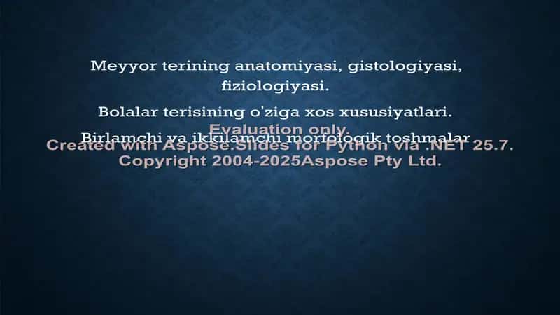 Meyyor terining anatomiyasi, gistologiyasi, fiziologiyasi
