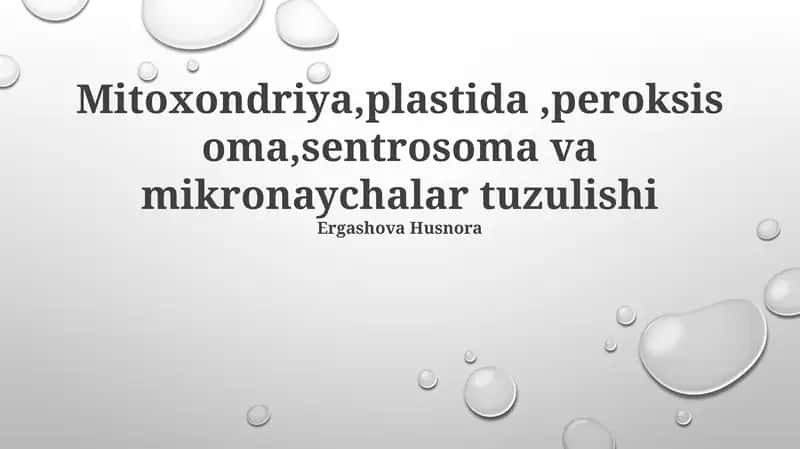 Mitoxondriya, Plastoidlar va Peroksisomalar tuzilishi