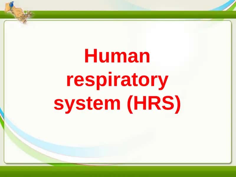Human respiratory system (HRS)