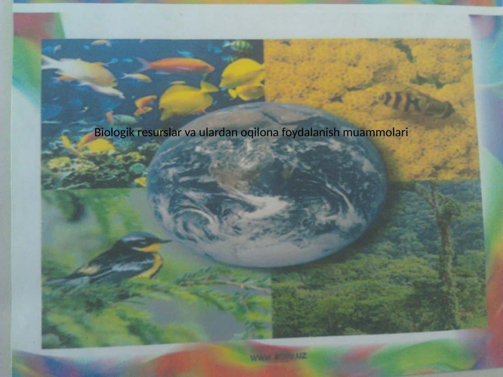 Biologik resurslar va ulardan oqilona foydalanish muammolari