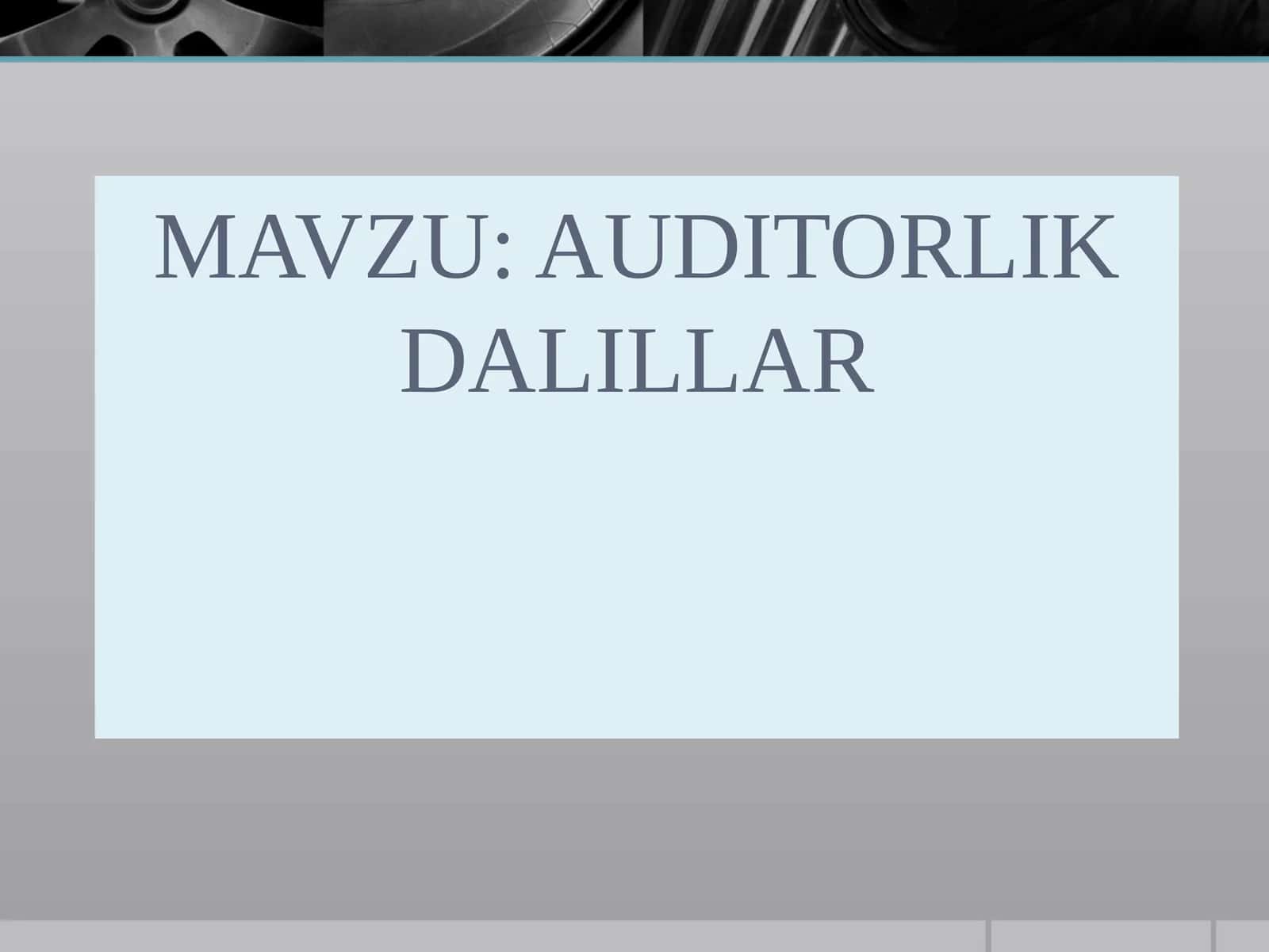 AUDITORLIK DALILLAR