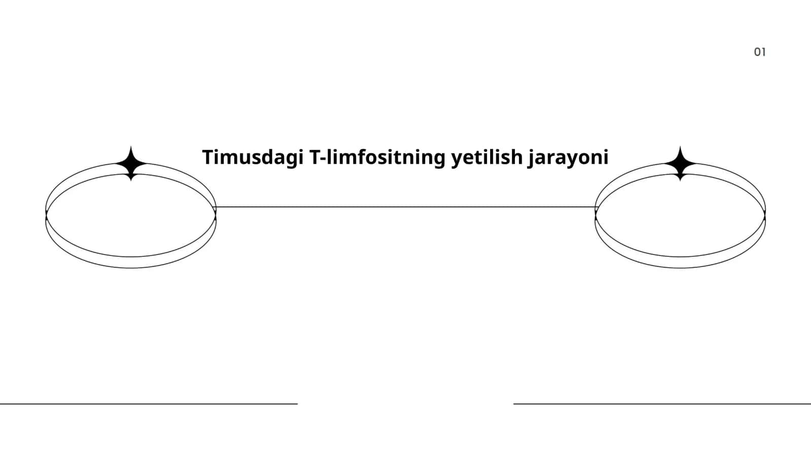 Timusdagi T-limfositning yetilish jarayoni