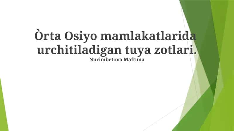 Qoraqo'l Tuya Zotining Xususiyatlari