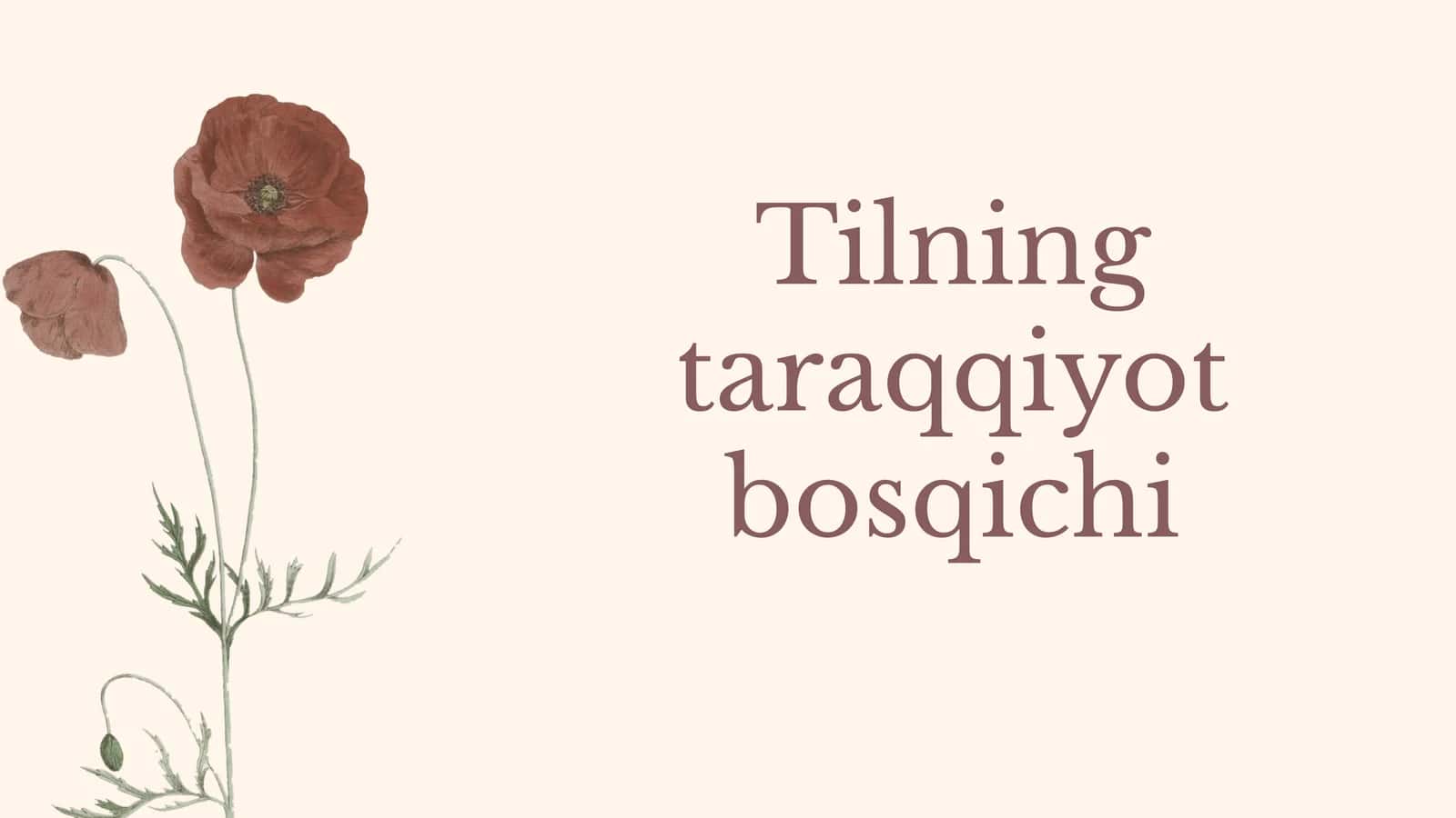 Tilning taraqqiyot bosqichi