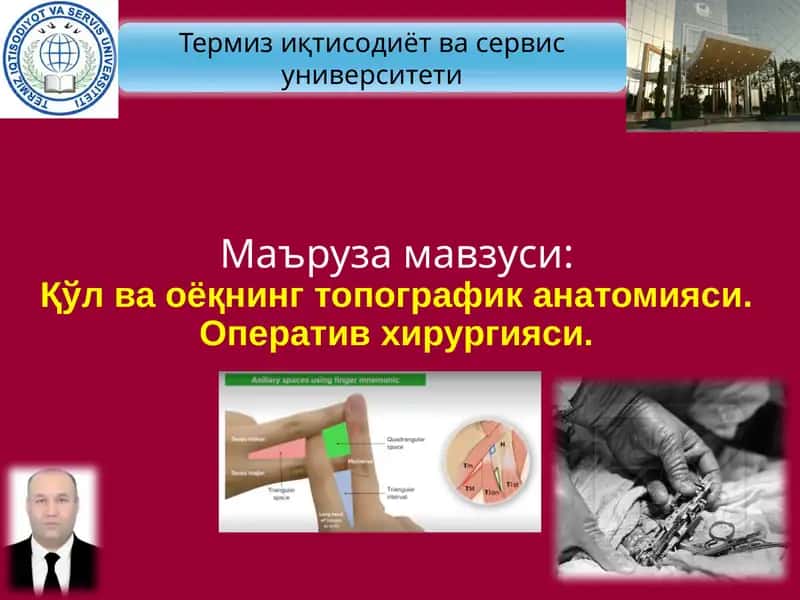 Қўл ва оёқнинг топографик анатомияси. Оператив хирургияси.