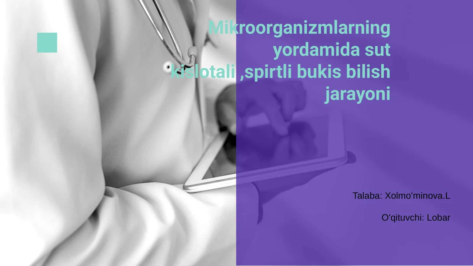 Mikroorganizmlar Yordamida Sut Kislotali va Spirtli Pishirish