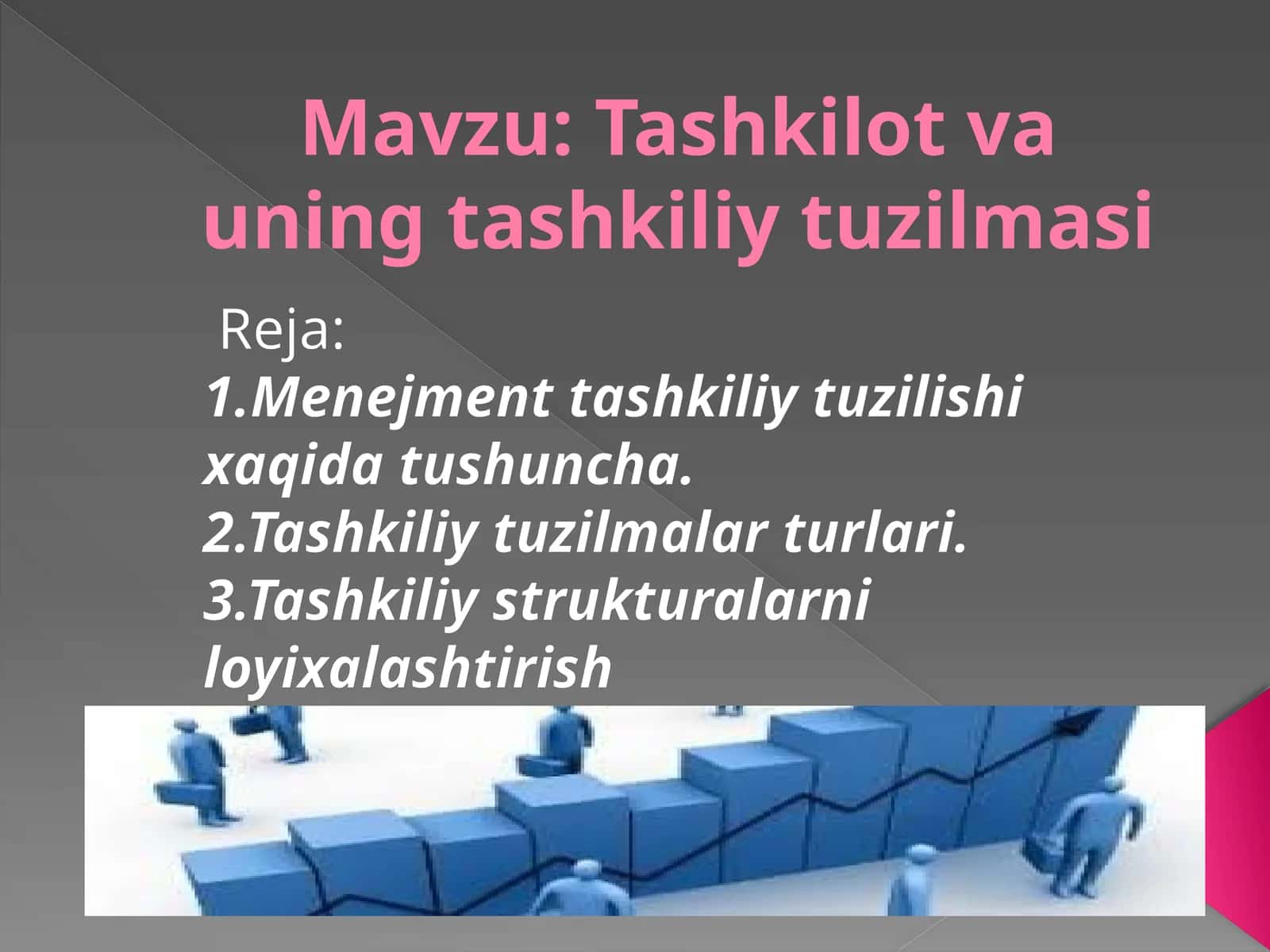 Tashkilot va uning tashkiliy tuzilmasi