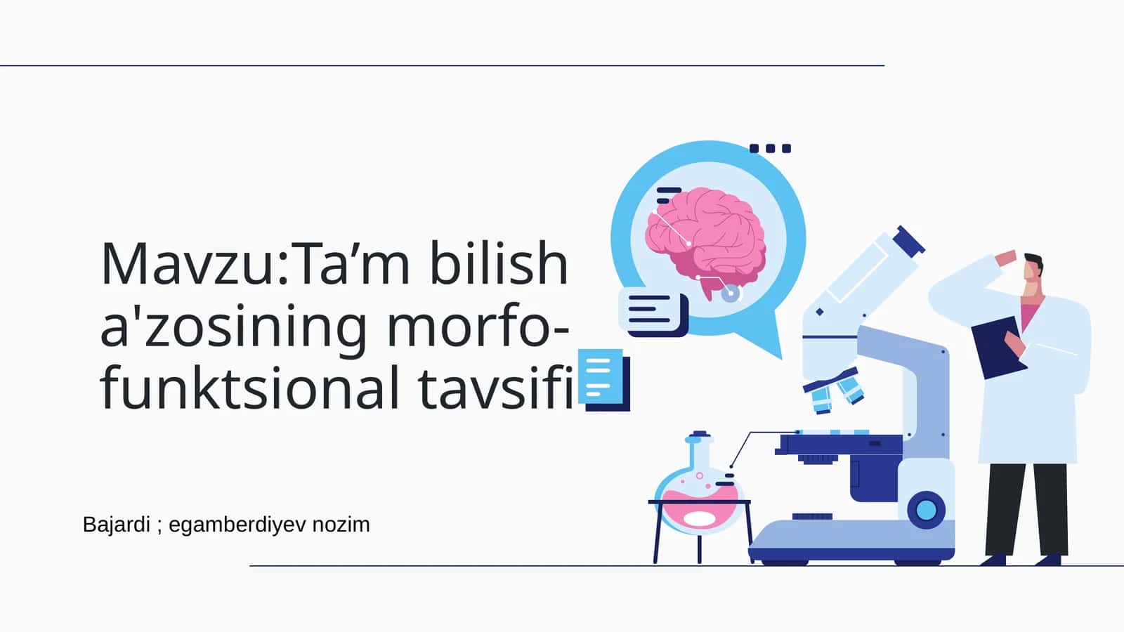 Ta’mbilisha'zosining morfo-funksional tavsifi