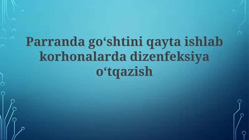 Go'shtni qayta ishlash korxonalarida dezinfeksiya: Nima uchun muhim?