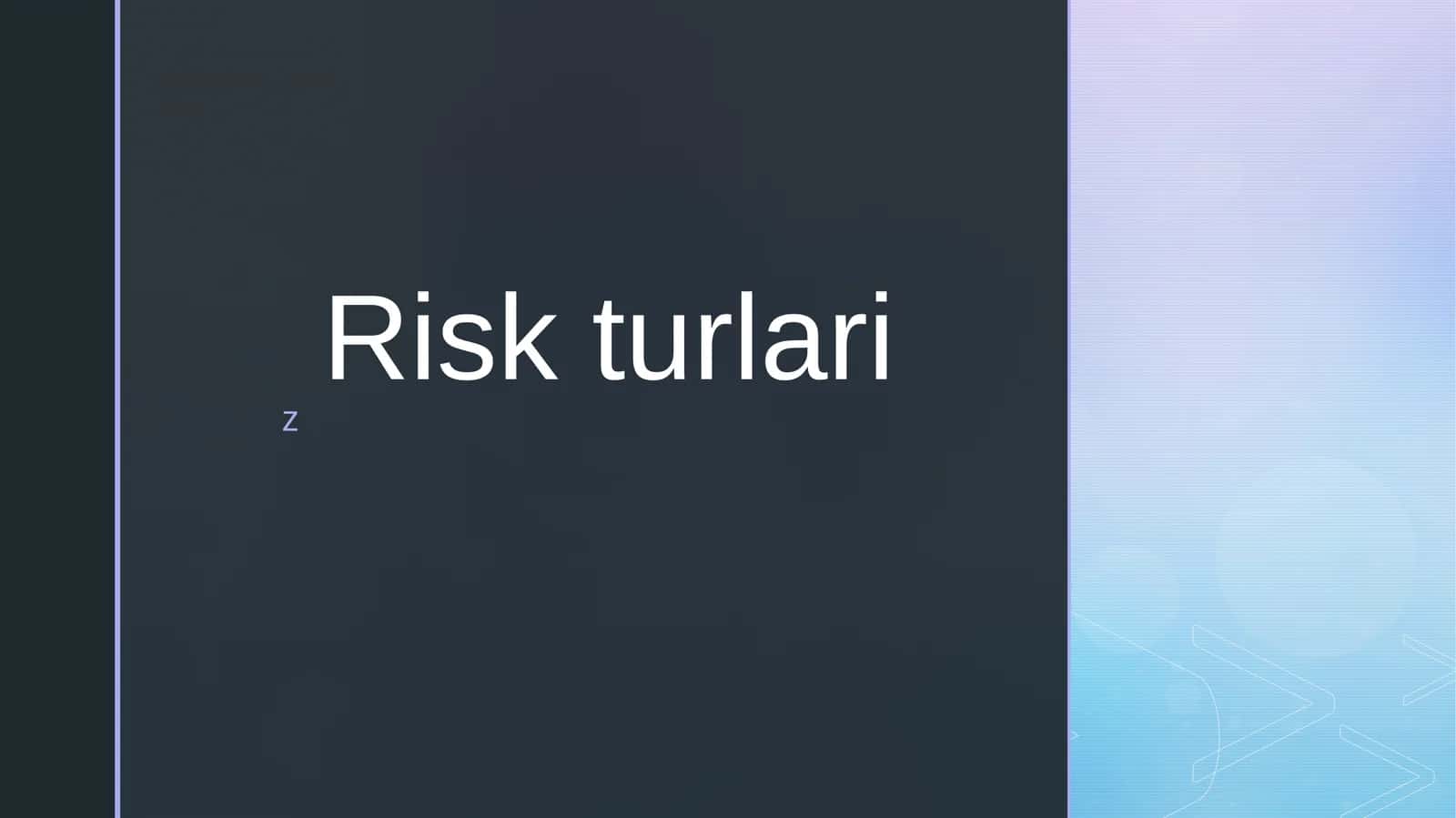 Risk turlari