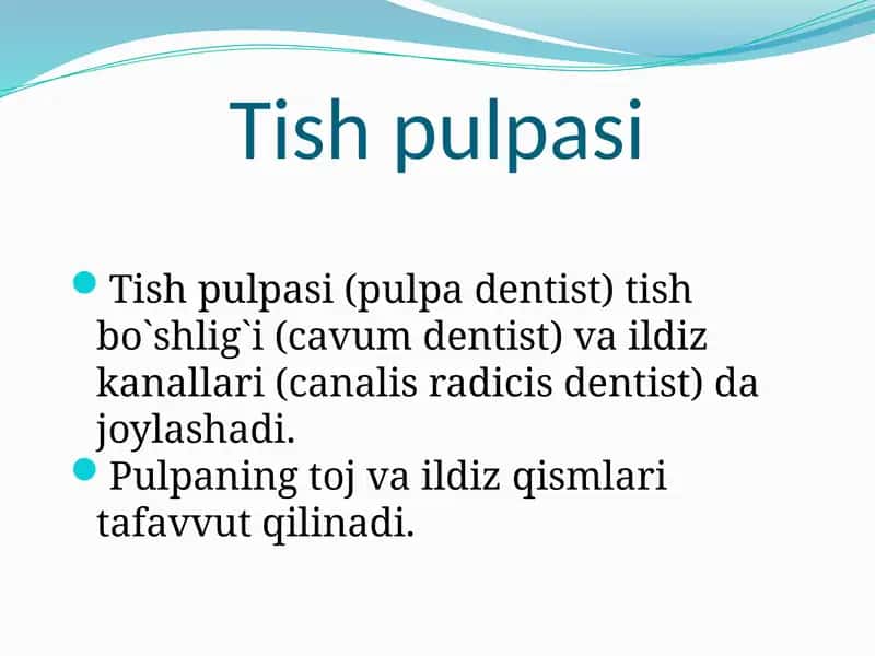 Tish pulpasi