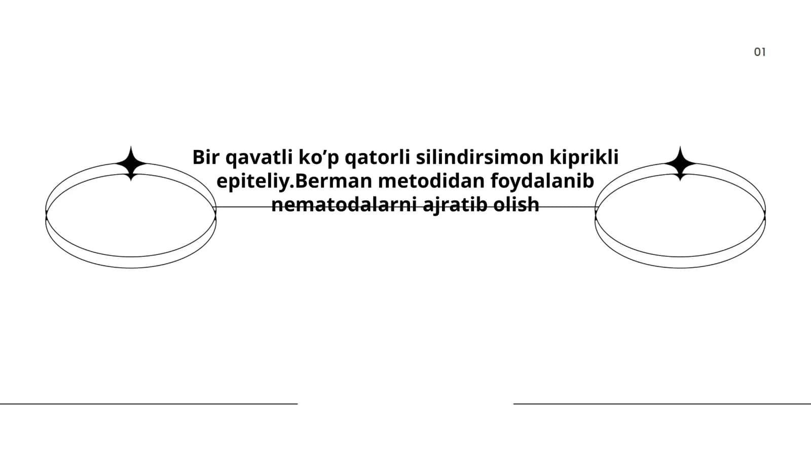 Bir qavatli ko'p qatorli silindrsimon kiprikli epiteliy