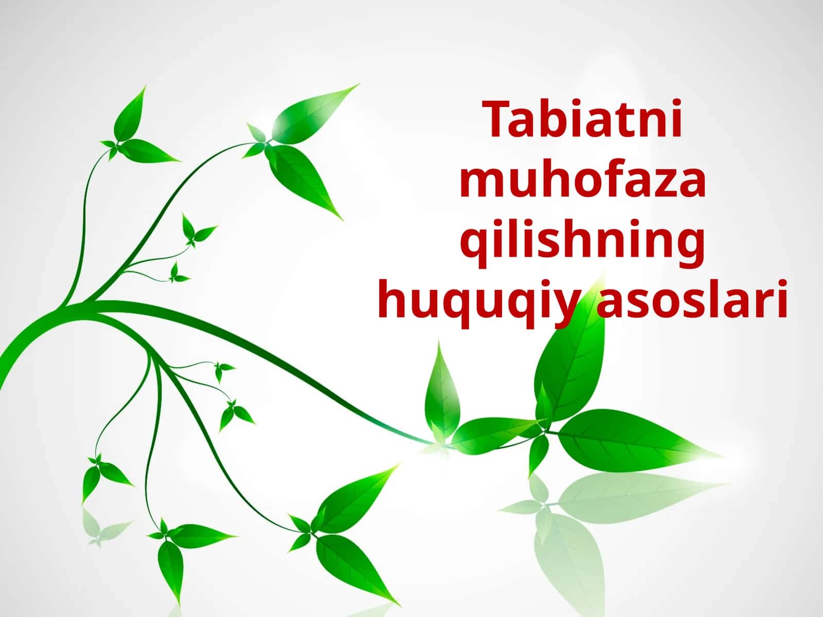 Ekologiya huquqi