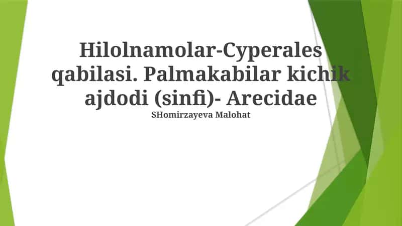 Hilolnamolar-Cyperales qabilasi