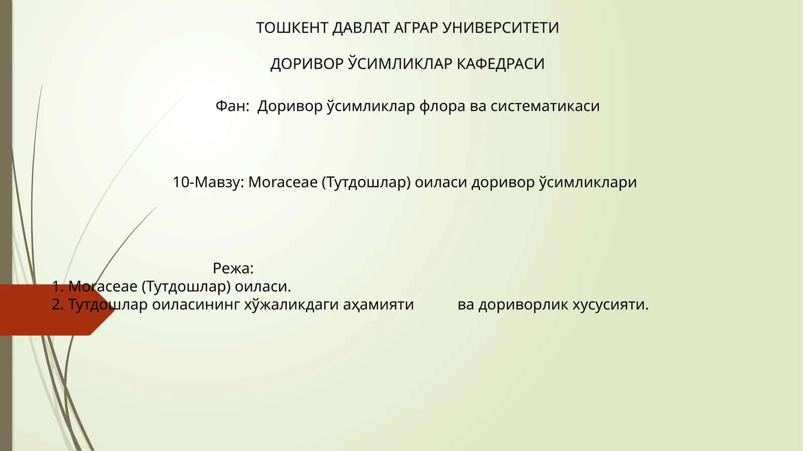 Moraceae (Тутдошлар) оиласи доривор ўсимликлари