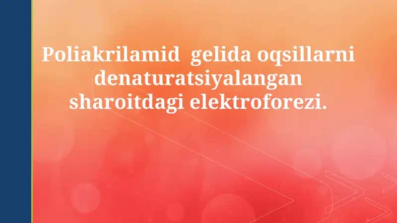 Poliakrilamidli gel elektroforezi