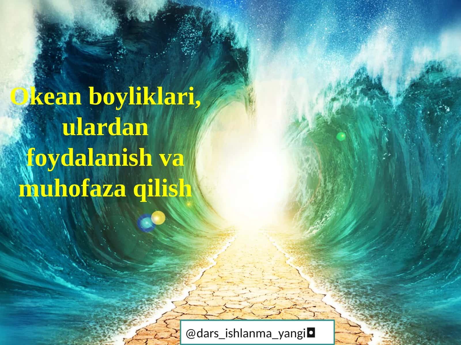 Okean boyliklari, ulardan foydalanish va muhofaza qilish
