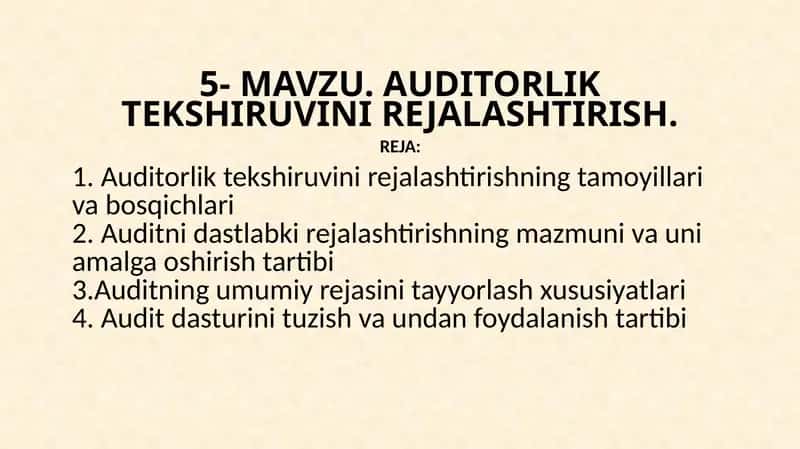 AUDITORLIK TEKSHIRUVINI REJALASHTIRISH