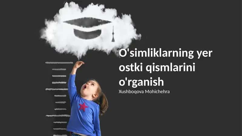 O'simliklarning Yer Ostki Qismlarini O'rganish