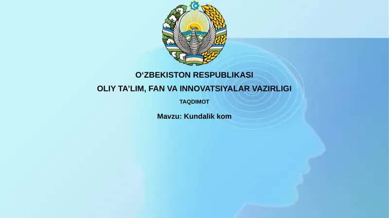 Kundalik daftar