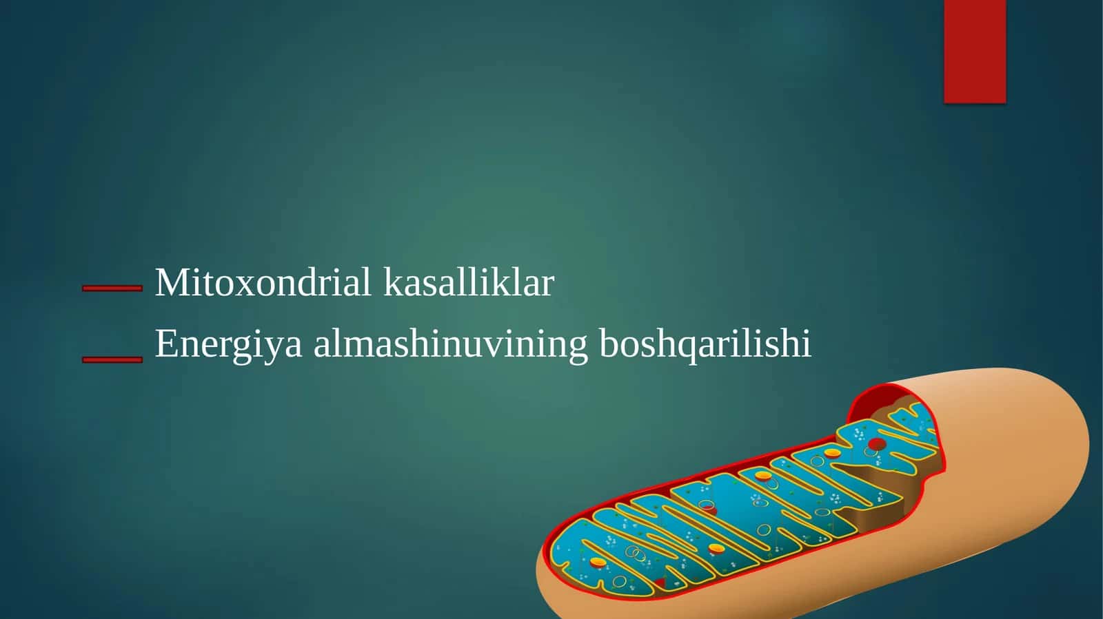 Mitoxondriyalkasalliklar