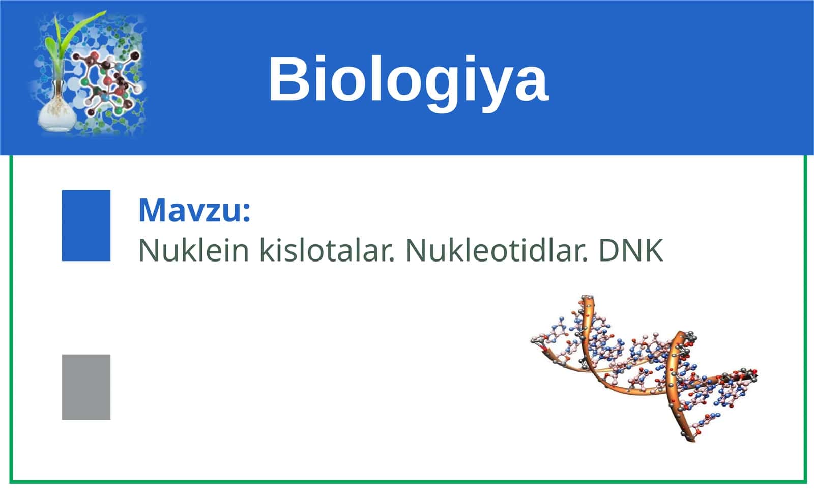 Nuklein kislotalar. Nukleotidlar. DNK
