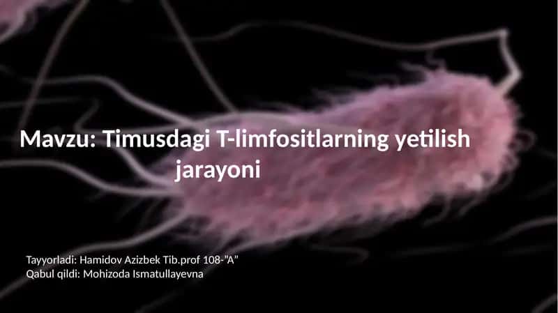Timusdagi T-limfositlarning yetilishi jarayoni