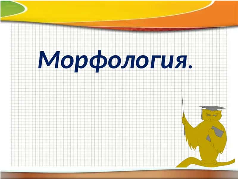 Морфология