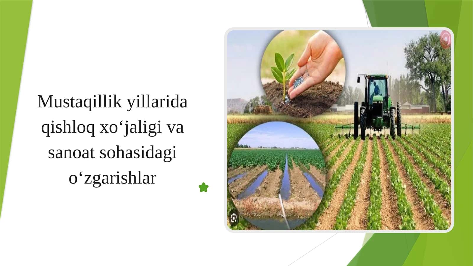 Mustaqillik yillarida qishloq xoʻjaligi va sanoat sohasidagi oʻzgarishlar