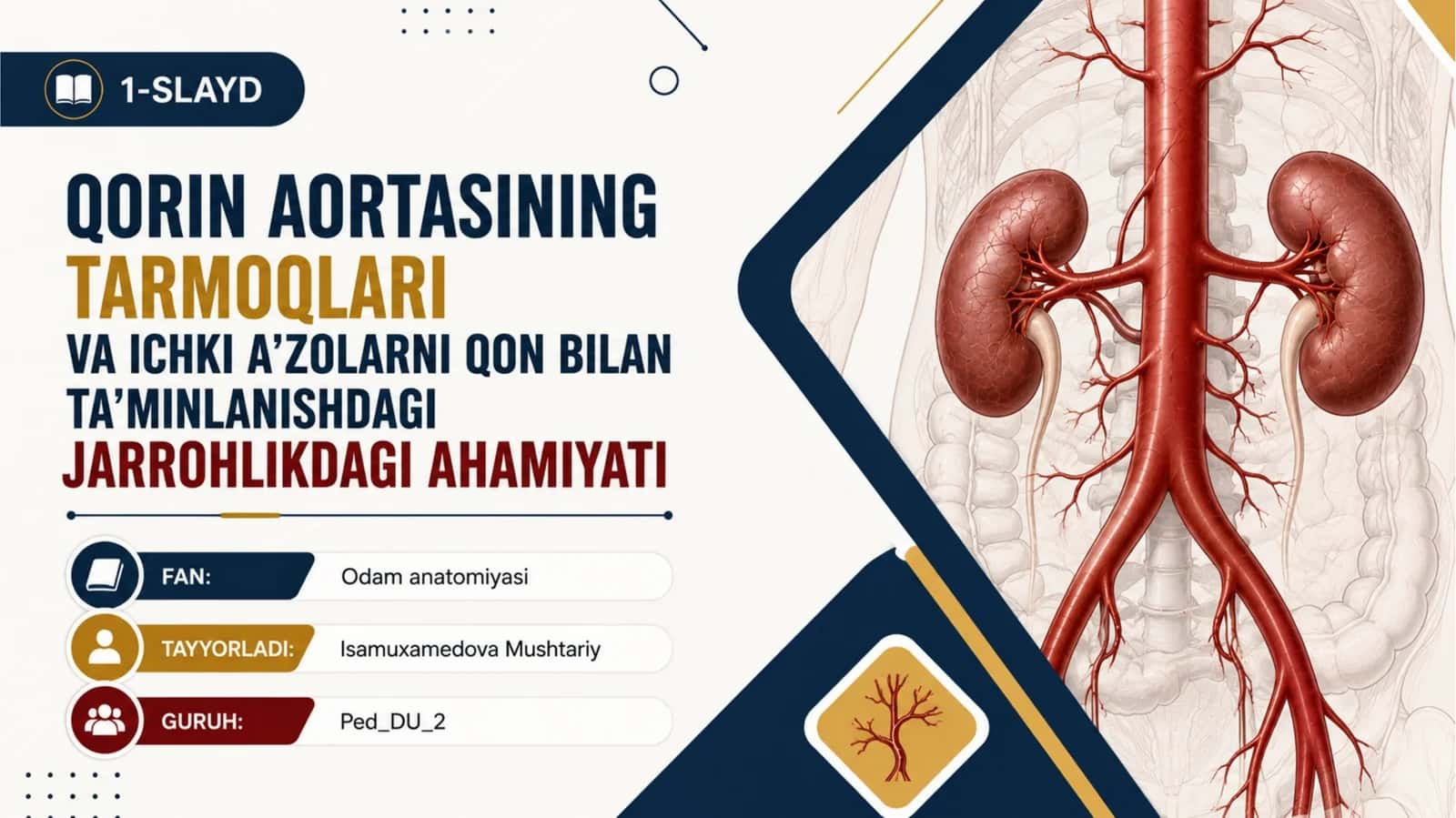 Qorin aortasini tarmoqlari, ichki aʼzolarni qon bilan taʼminlanishdagi jarrohlikdagi ahamiyati
