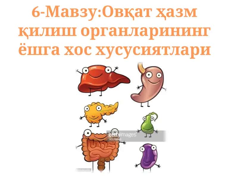 Овқат ҳазм қилиш органларининг ёшга хос хусусиятлари