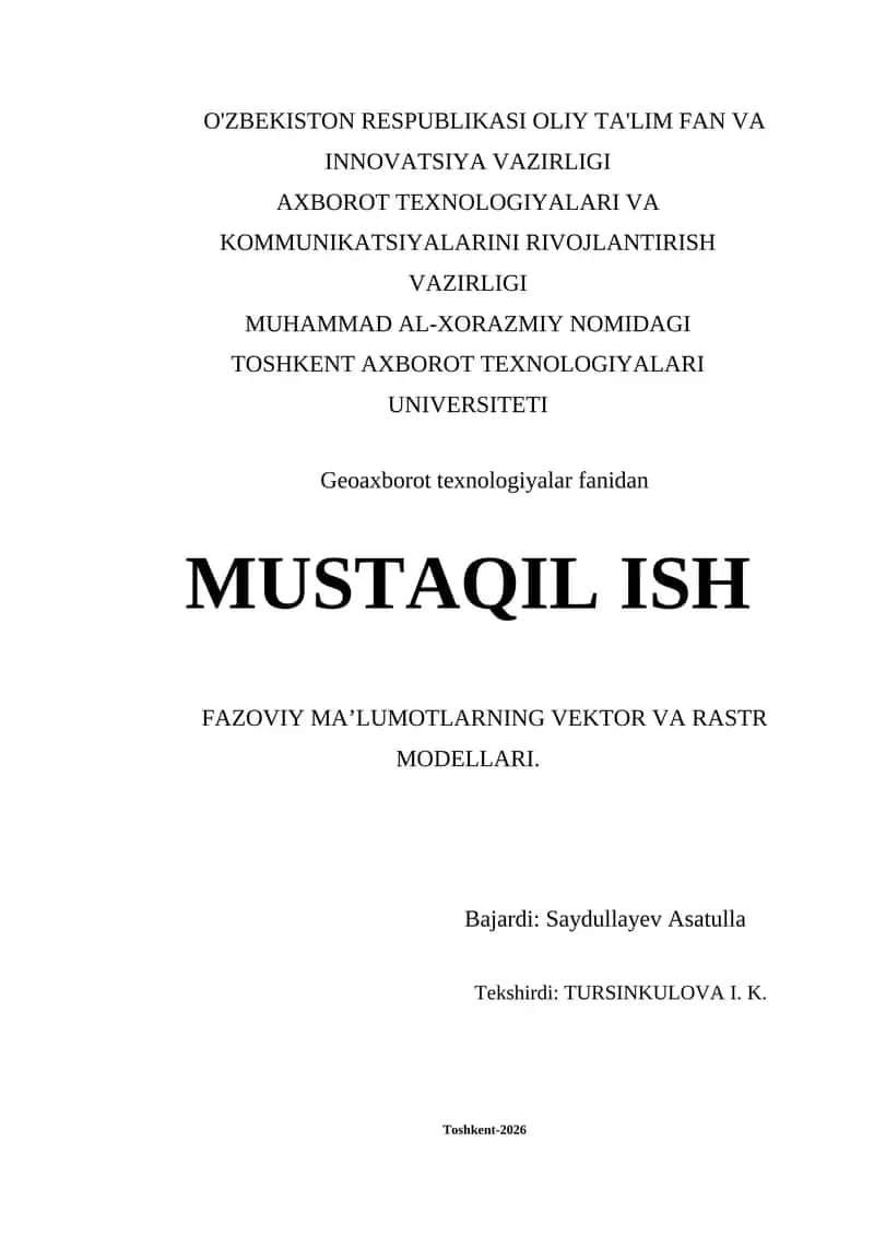 Fazoviy ma’lumotlar vektor va raster modeli