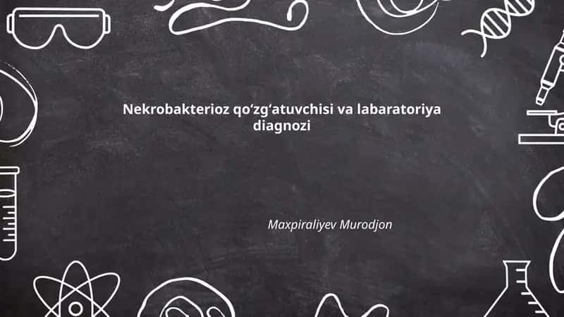 Nekrobakterioz qoʻzgʻatuvchisi va labaratoriya diagnozi