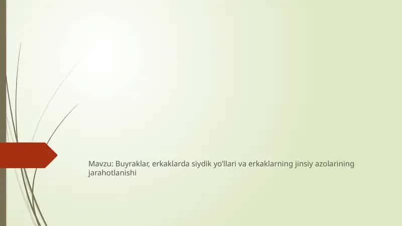 Erkaklardasiydikyo'llariningjarohatlanishi