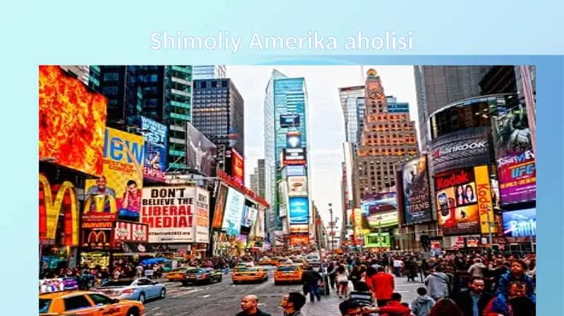 Shimoliy Amerika holisi