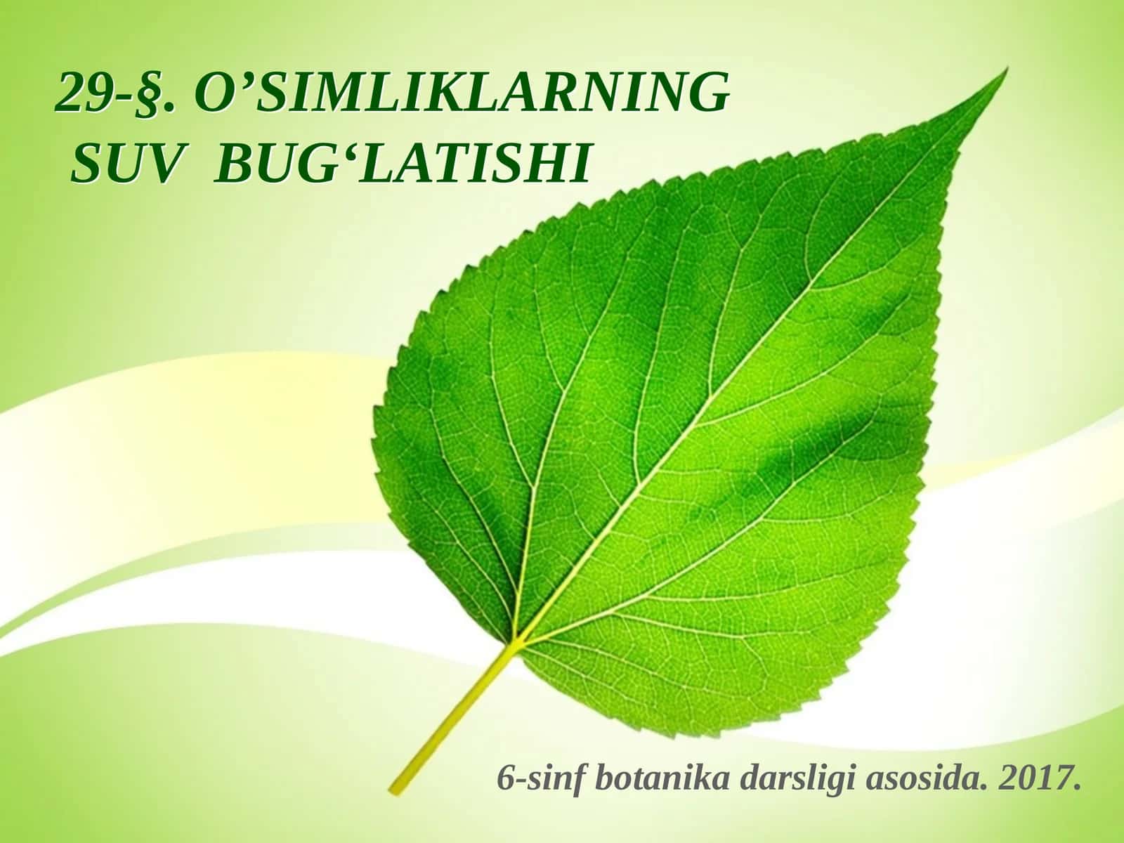 6-sinf Botanika dars ishlanma. O'simliklarning suv bug'latishi