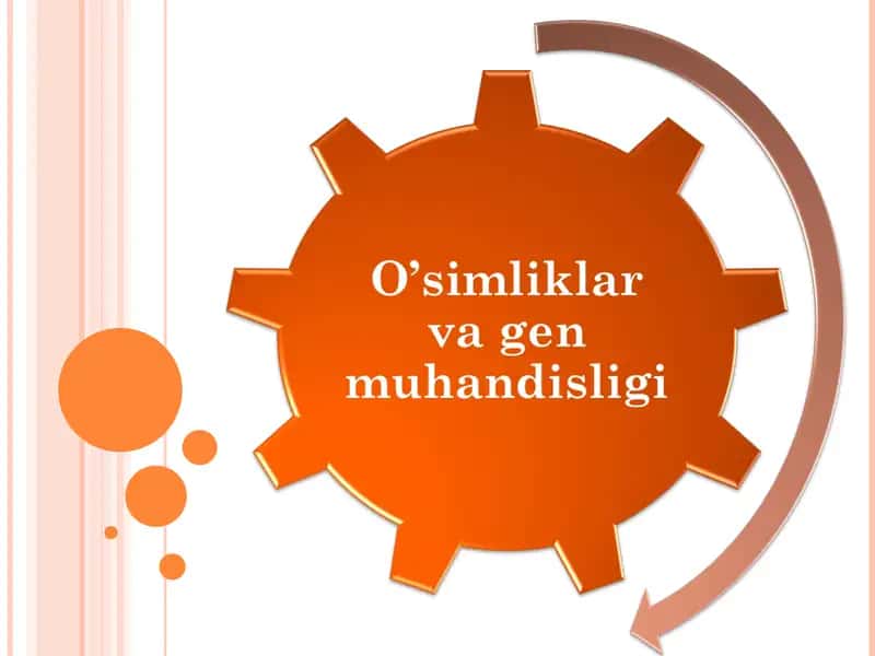 O’simliklar va gen muhandisligi