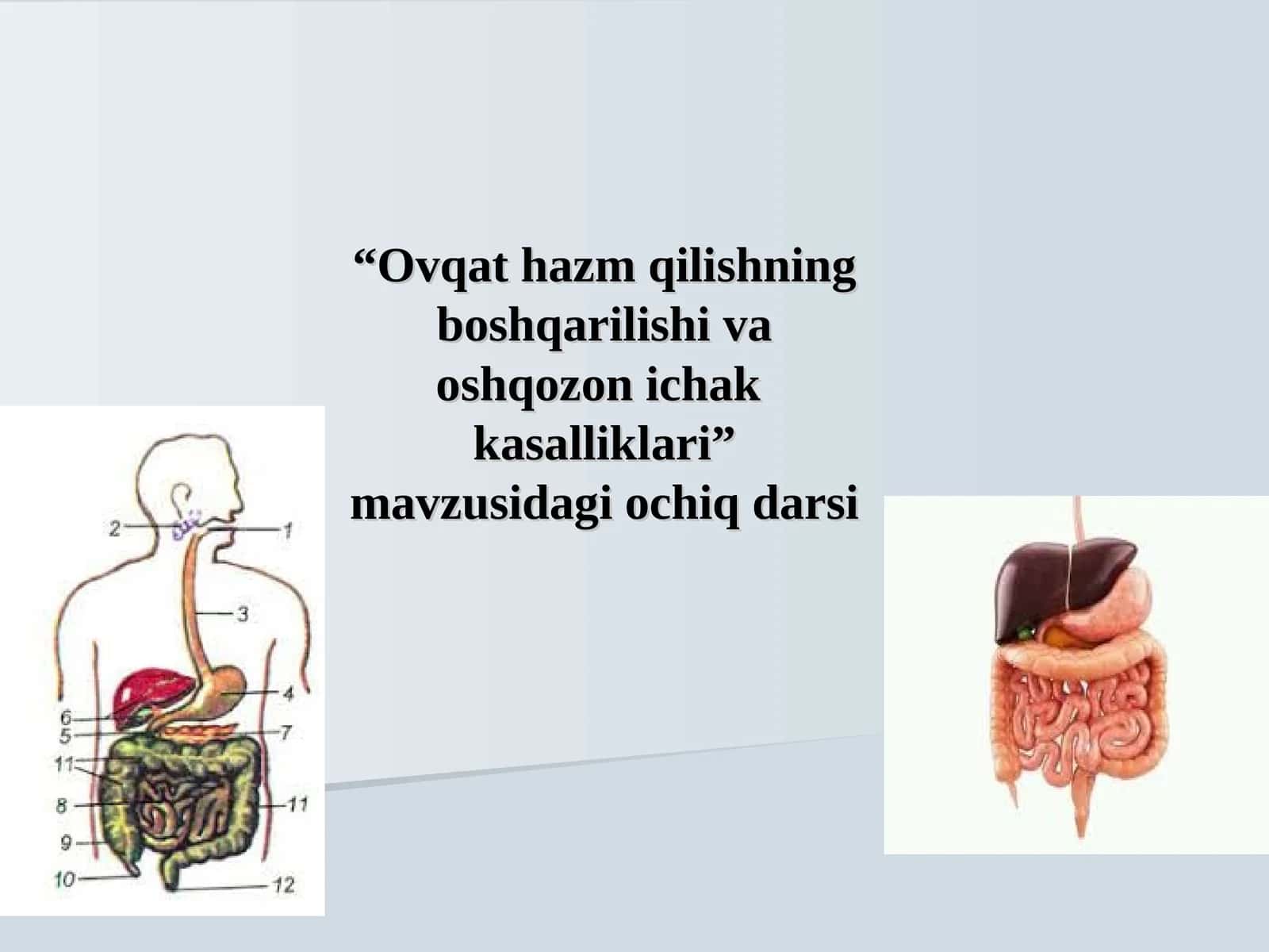 Ovqat hazm qilishning boshqarilishi va oshqozon ichak kasalliklari