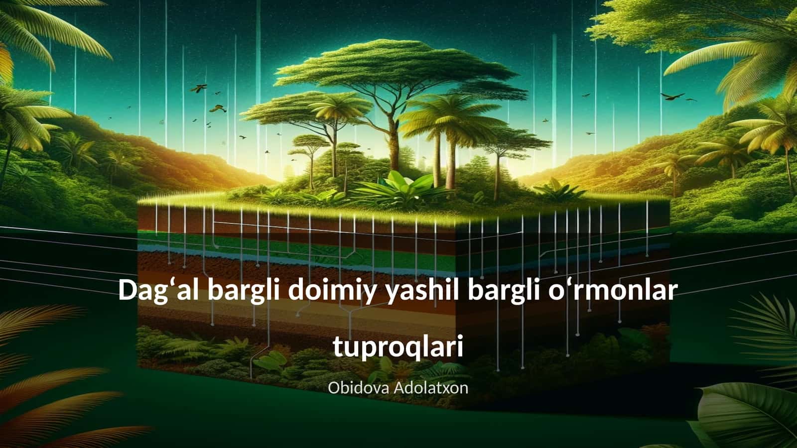 Dagʻal bargli doimiy yashil bargli oʻrmonlar tuproqlari