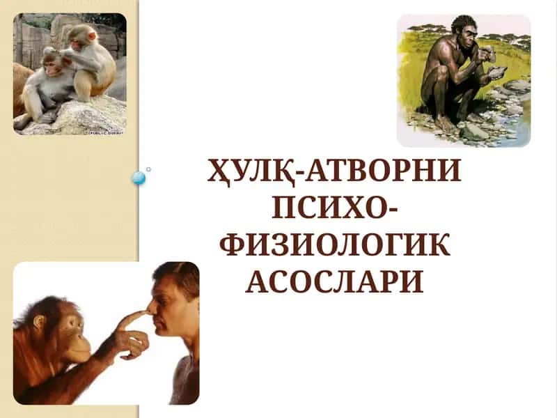 Ҳулқ-атворни психо-физиологик асослари