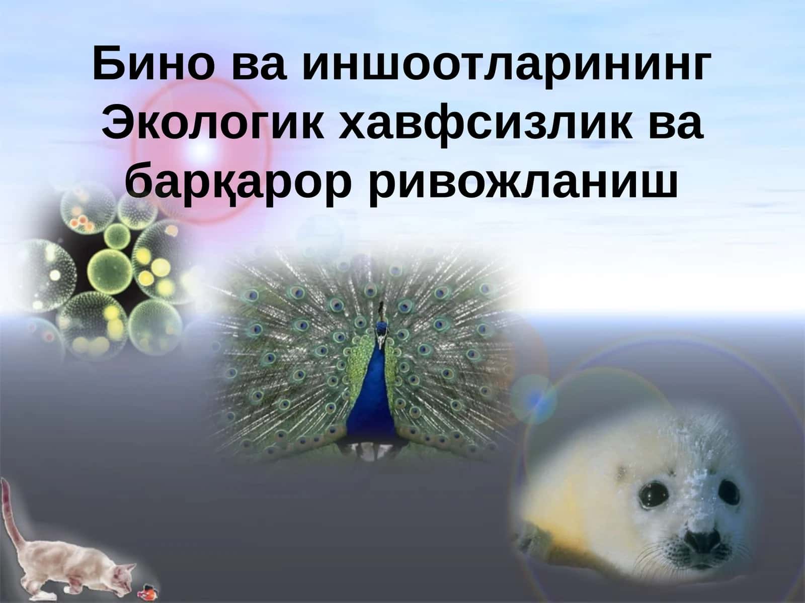 Бино ва иншоотларининг Экологик хавфсизлик ва барқарор ривожланиш