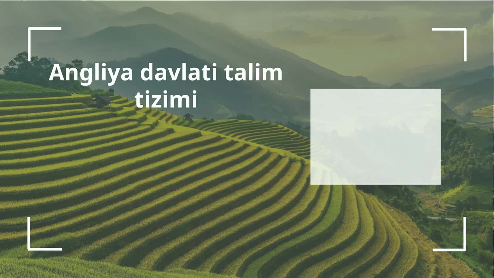 Angliya boshlang'ich ta'lim tizimi