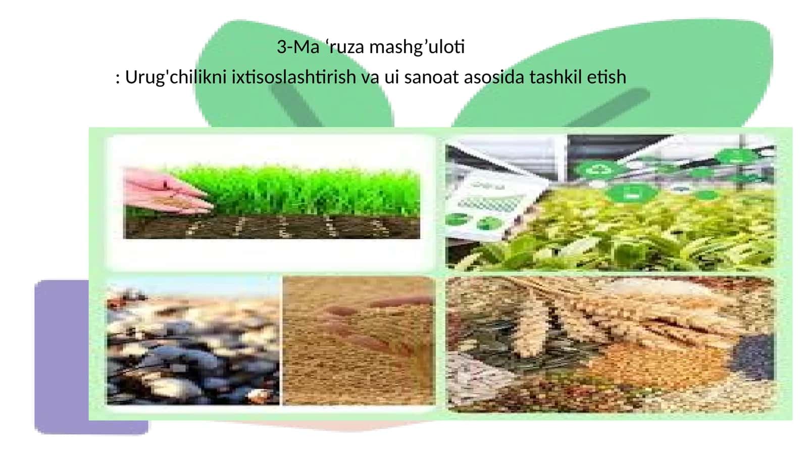 Urug'chilikni ixtisoslashtirish va ui sanoat asosida tashkil etish