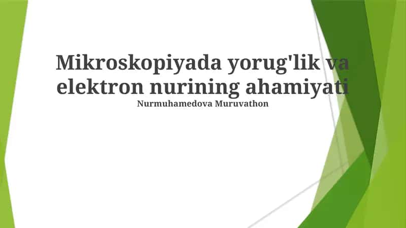 Skanirovchi elektron mikroskoplari (SEM)
